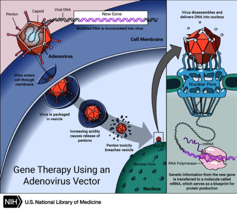 About GAN | Neurodegenerative Disease | All in for Ethan